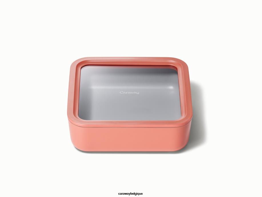 Caraway batterie de cuisine perracotta récipient de stockage de nourriture T6TFV216 - Image 1