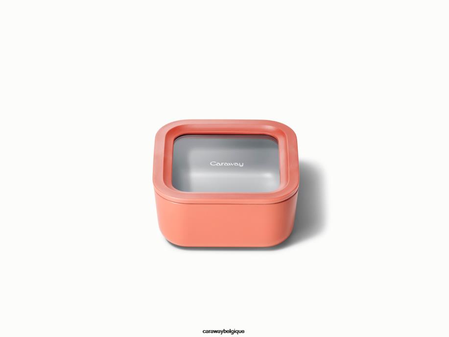 caraway_batterie_de_cuisine_perracotta_recipient_de_stockage_de_nourriture_t6tfv228.jpg Caraway batterie de cuisine perracotta récipient de stockage de nourriture T6TFV228 - Image 1