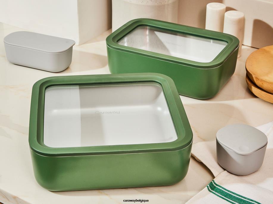 Caraway batterie de cuisine perracotta récipient de stockage de nourriture T6TFV216