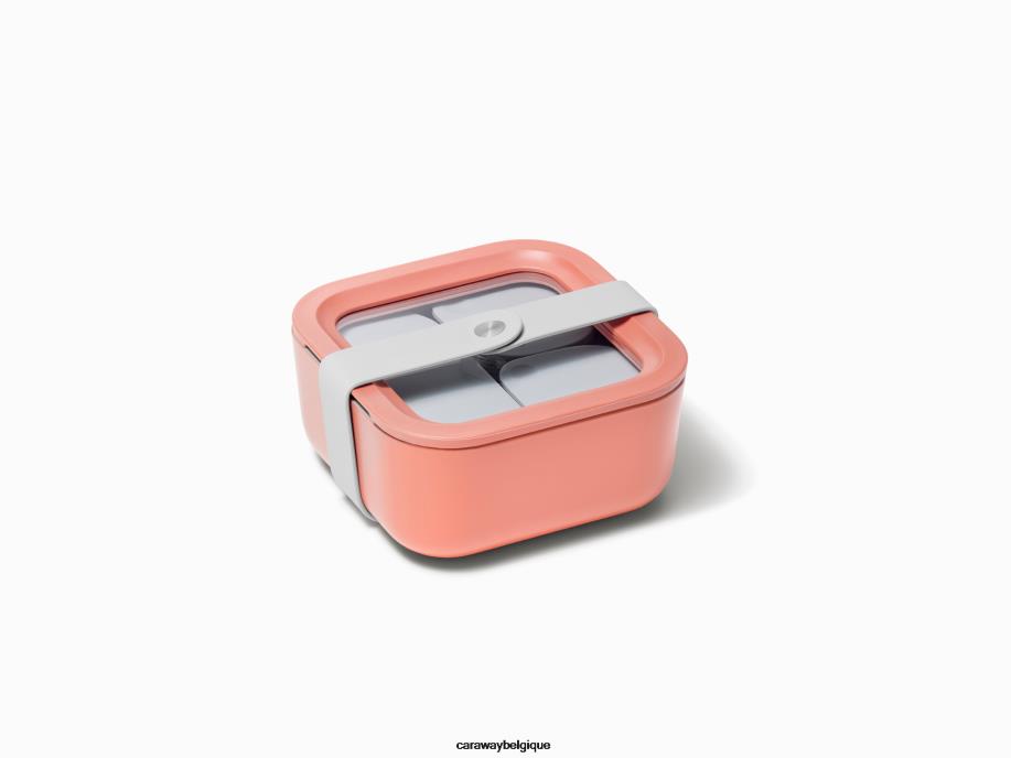 Caraway batterie de cuisine perracotta récipient de stockage de nourriture T6TFV228