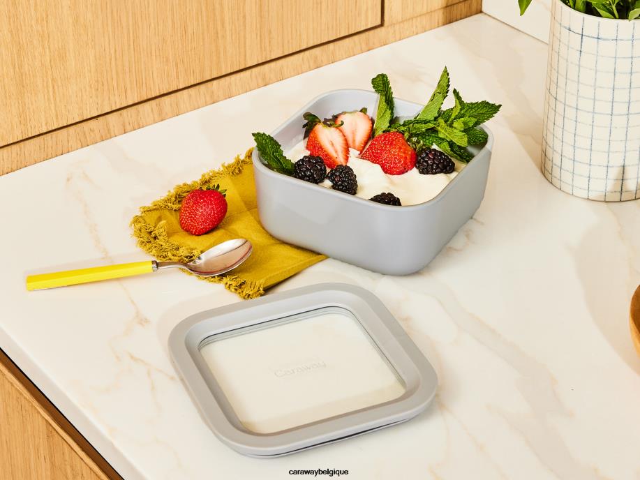 Caraway batterie de cuisine perracotta récipient de stockage de nourriture T6TFV228