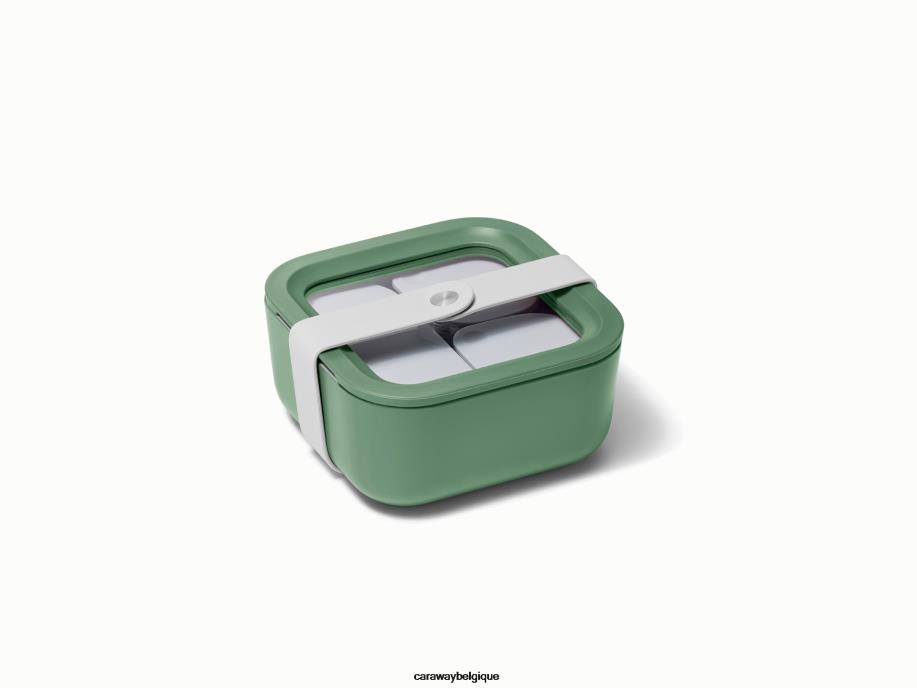 Caraway batterie de cuisine sage récipient de stockage de nourriture T6TFV224